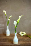 White Dove Bud Vase | Handmade Ceramic | Wheel-Thrown Stoneware Flower Vase | 8" Mini Pottery Vase| Modern Farmhouse Decor
